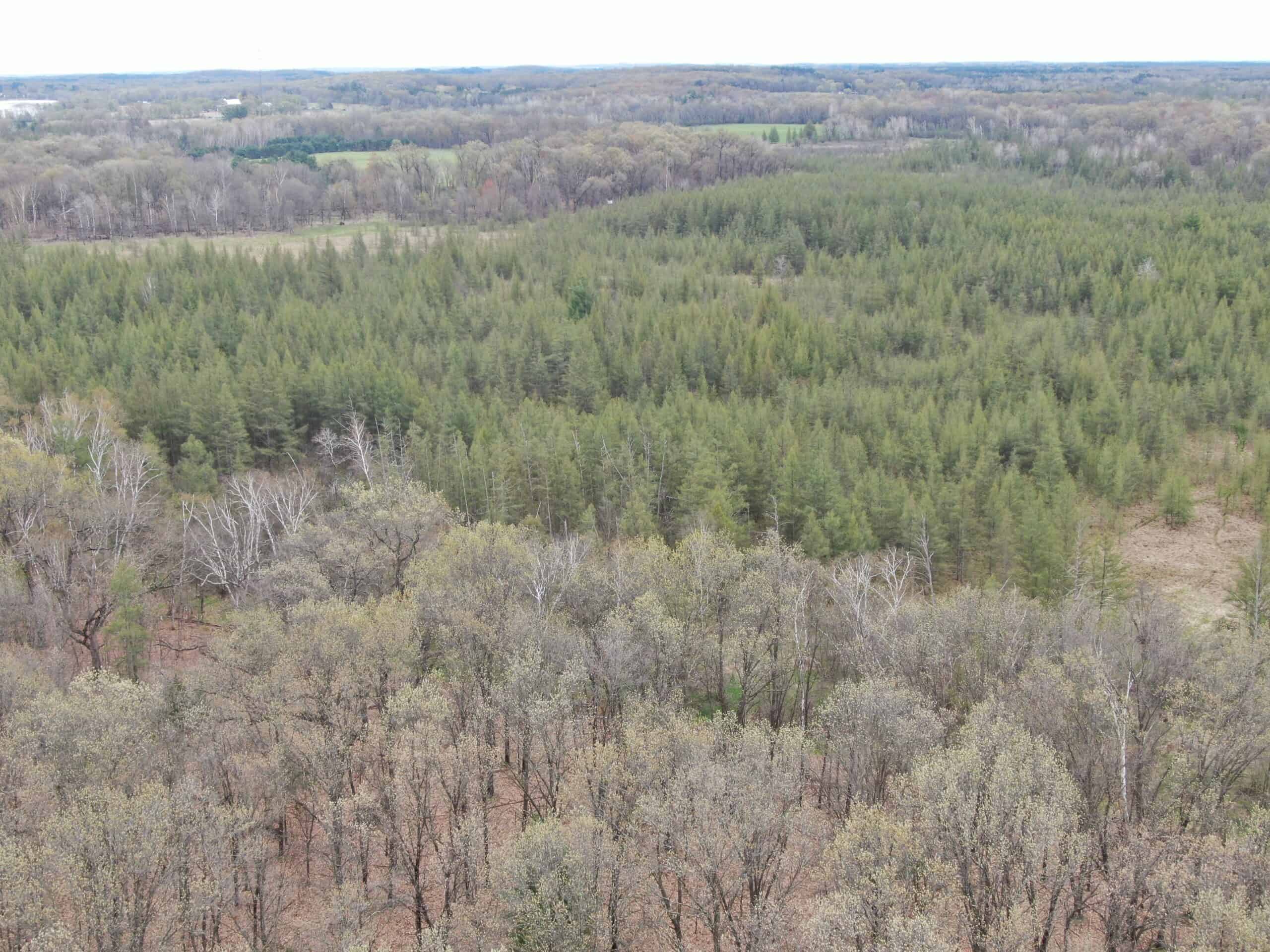 88 Acre Marquette County  WI Hunting Property For Sale