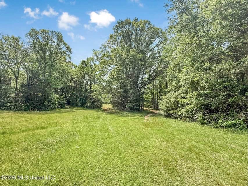 Home and Mobile Home for Sale on 25 Acres in Hinds County