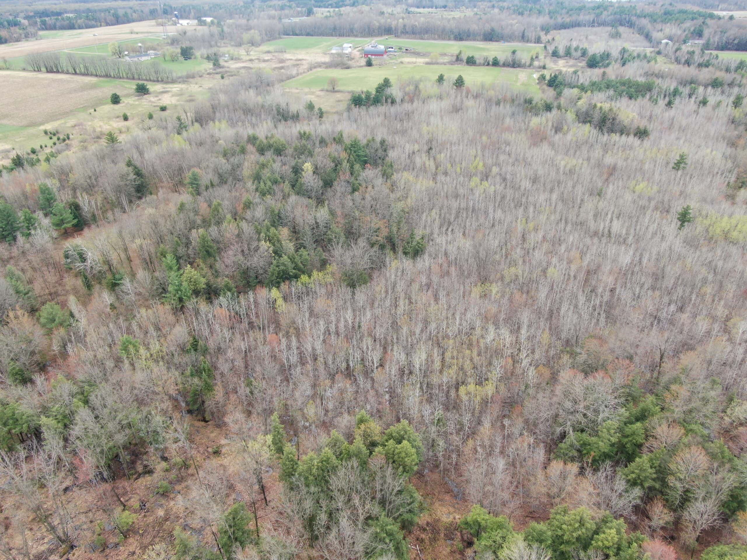 Portage County 40 Acre Hunting and Rec Property for Sale