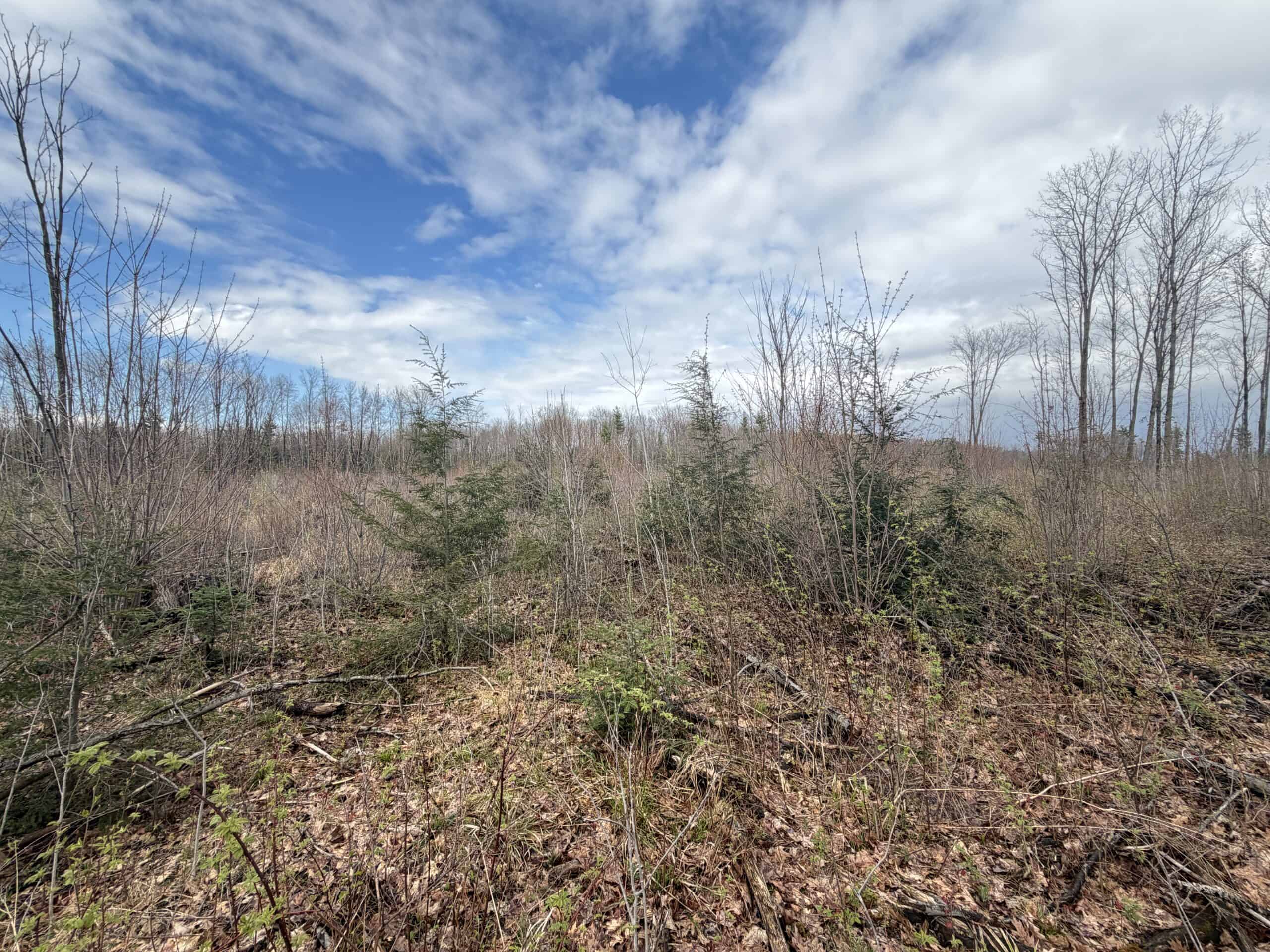 120 acres located in the Town of Dewey, Portage County, WI