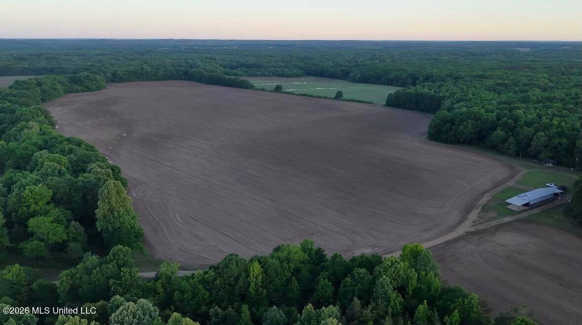 Booger Bottom Plantation 635 Surveyed Acres Attala Co MS