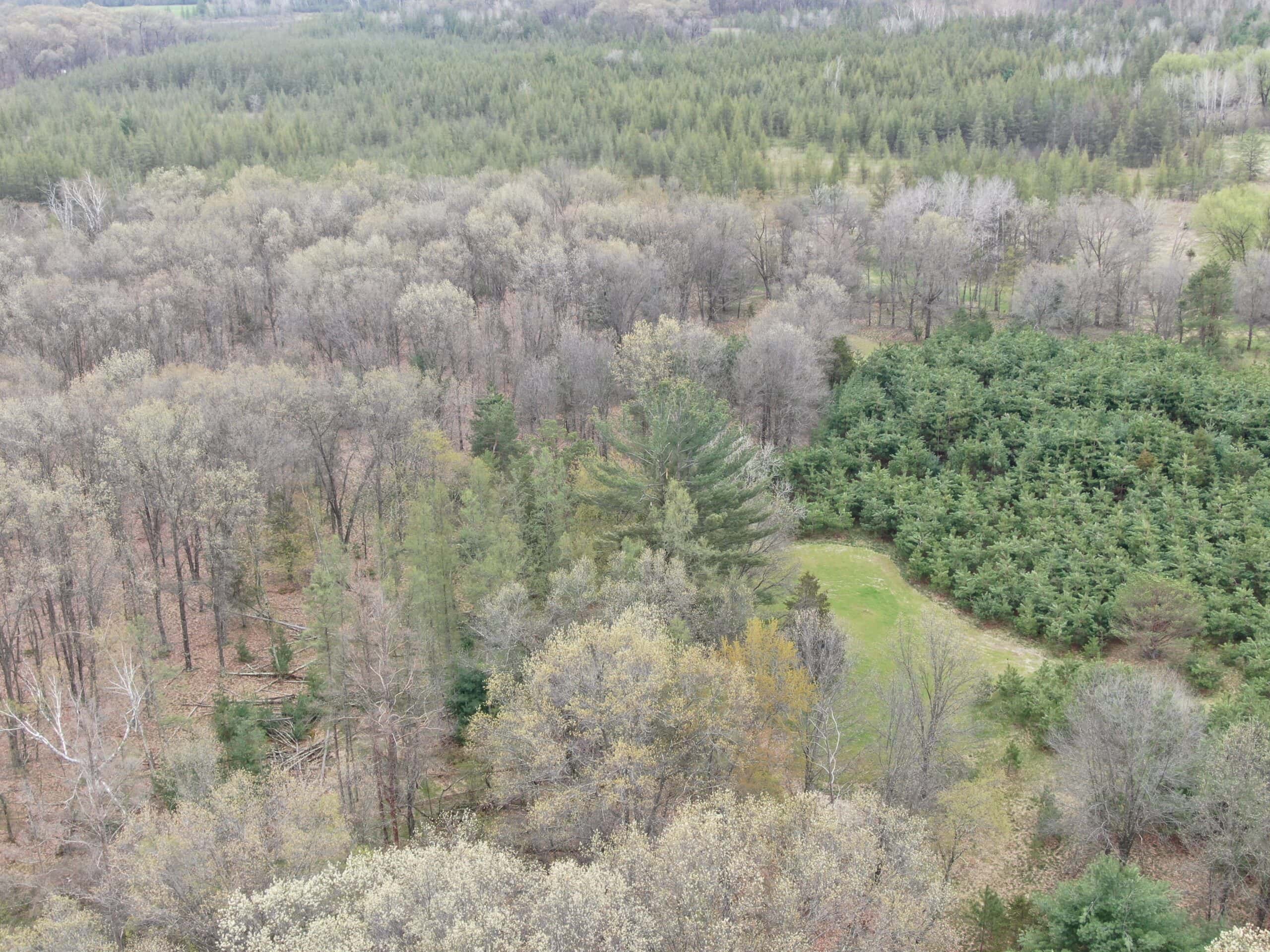 88 Acre Marquette County  WI Hunting Property For Sale
