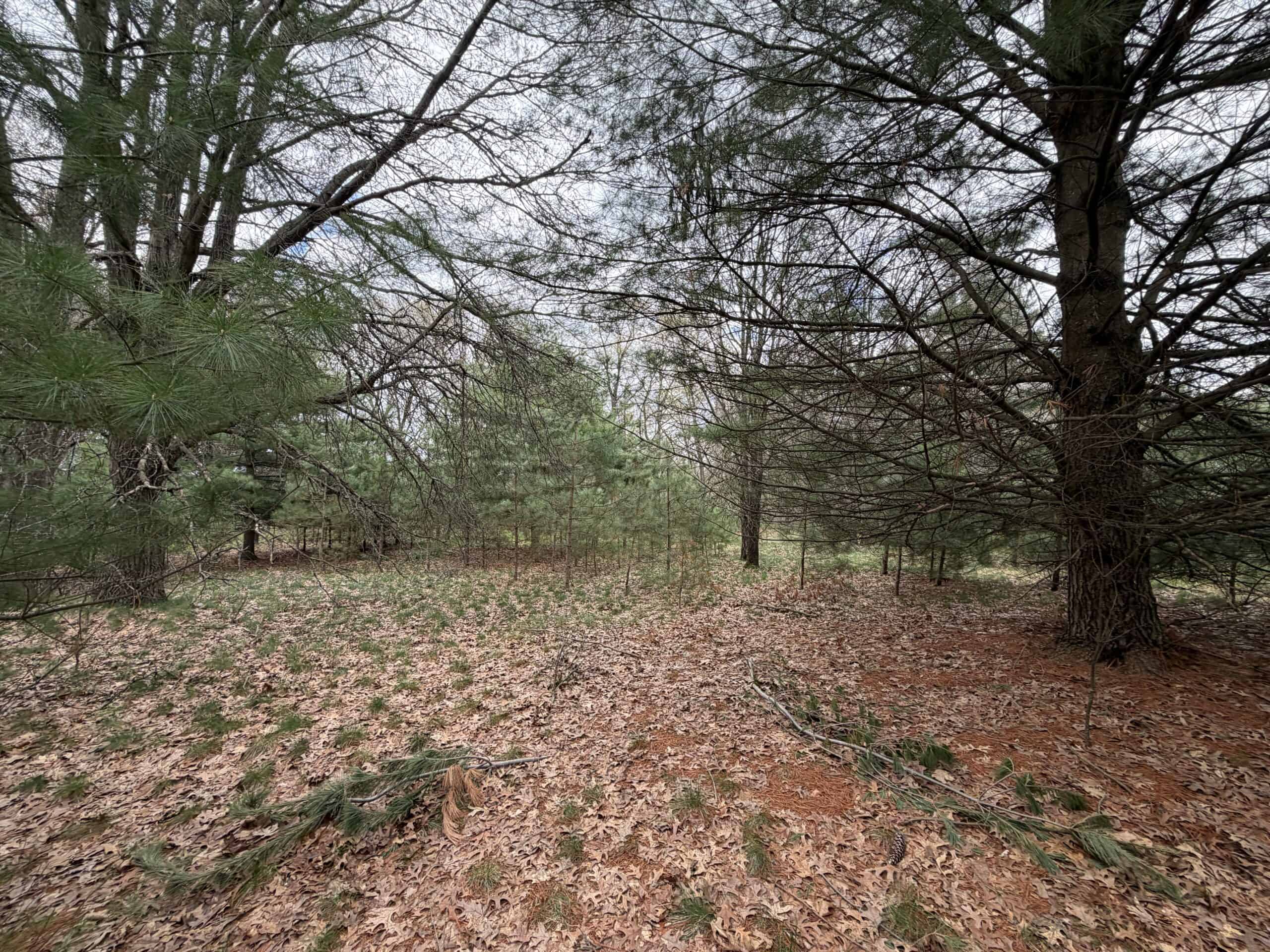 88 Acre Marquette County  WI Hunting Property For Sale