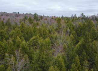 6-Lot Surveyed Subdivision Near Morgan’s Beach – Enfield, Maine