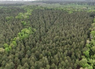 Saline Lake Hunting Property and Lodge Winn Parish LA