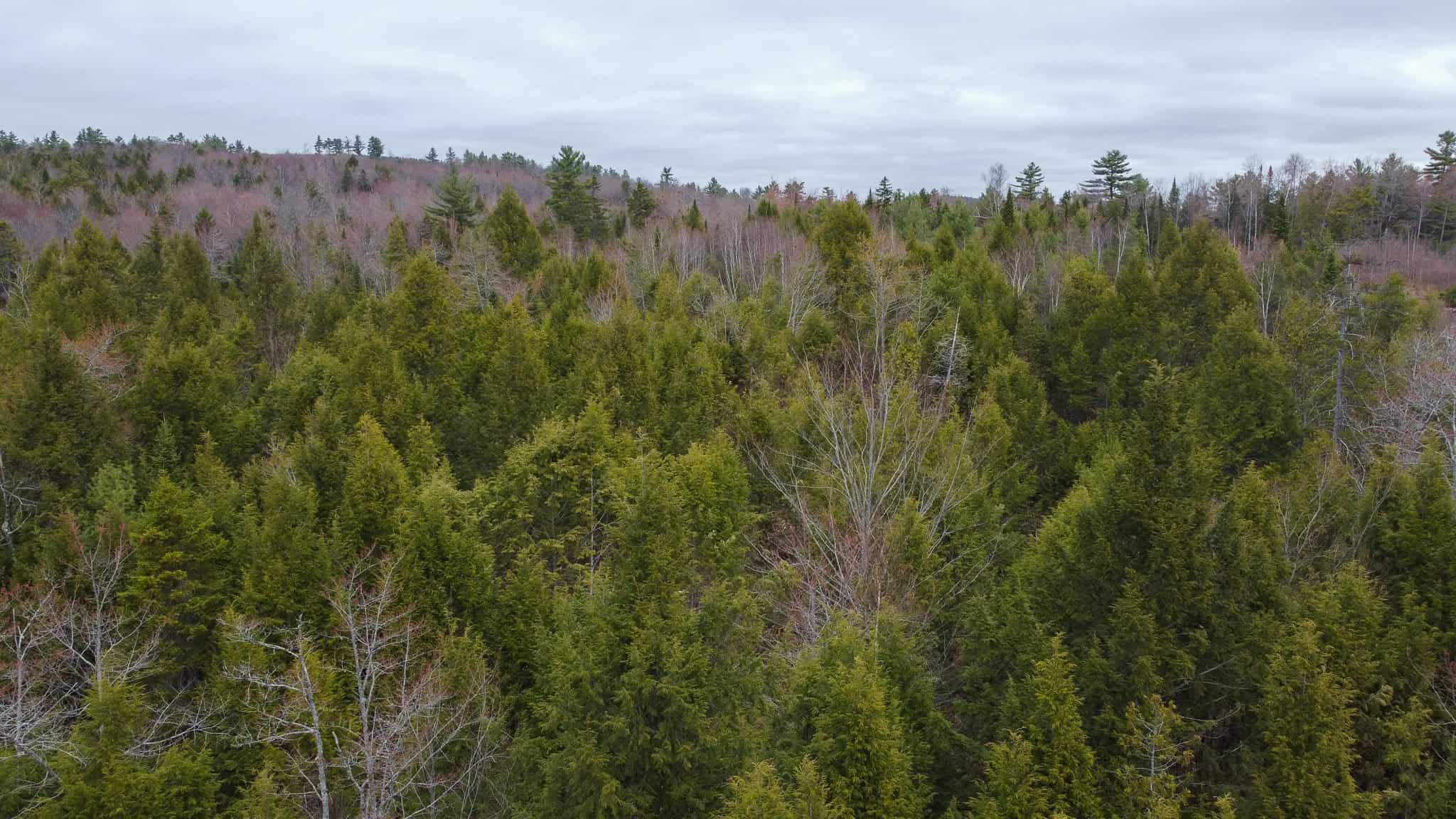 6-Lot Surveyed Subdivision Near Morgan’s Beach – Enfield, Maine