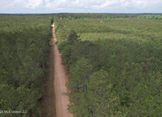 56 Acres in St. Helena Parish with Black Creek