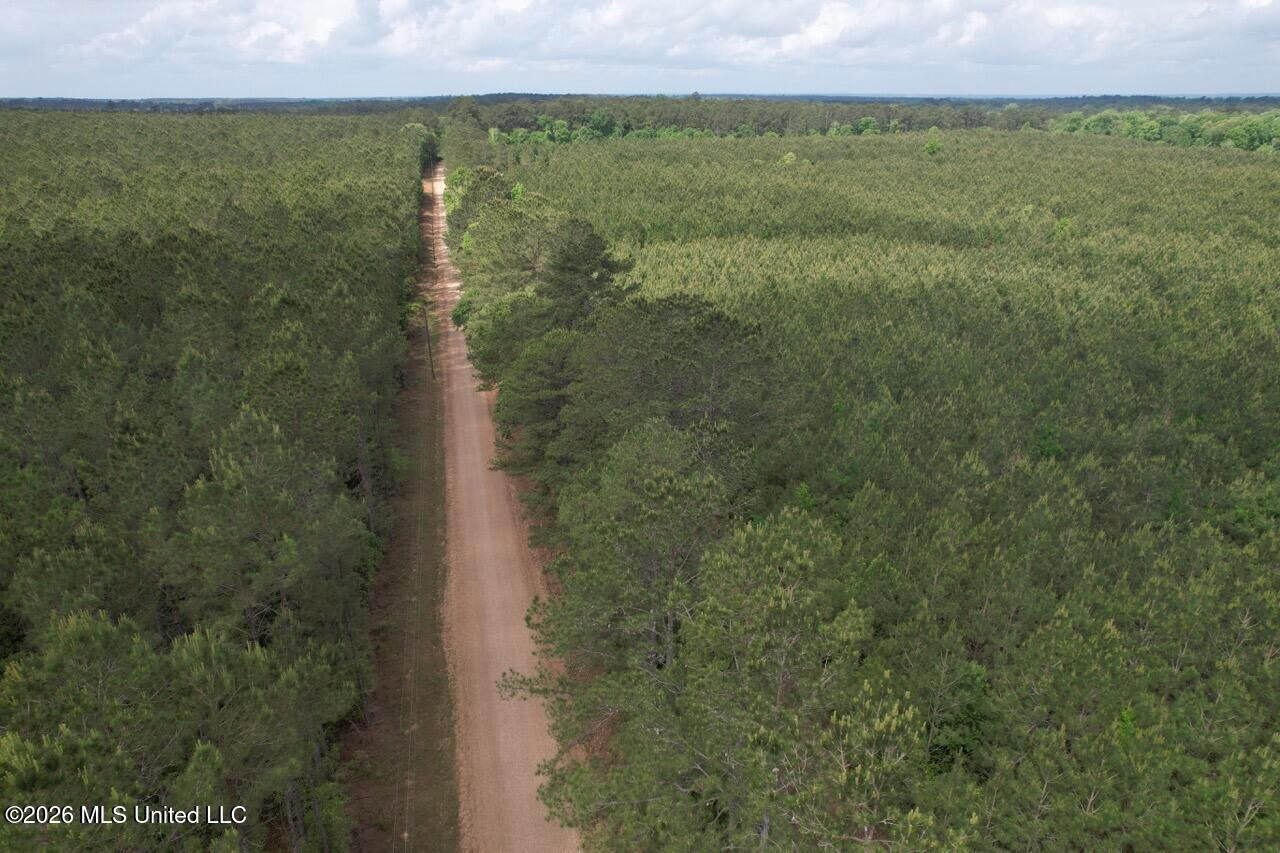 56 Acres in St. Helena Parish with Black Creek