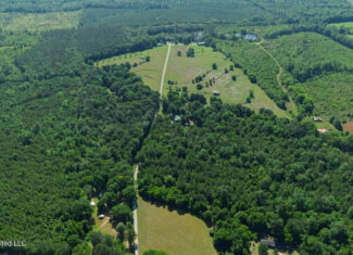 Luxury Estate on 98 Acres in Camden, AL