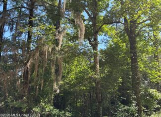 200 acres Franklin County MS Hunting Land Timber Investment