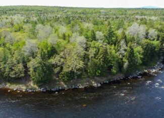 Maine River Property – 40.18 Acres – Woodville