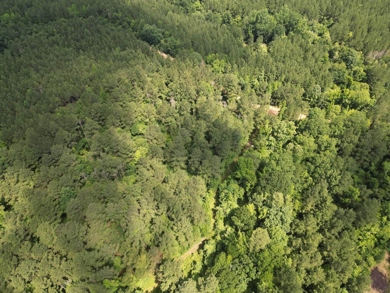 200 acres Franklin County MS Hunting Land Timber Investment
