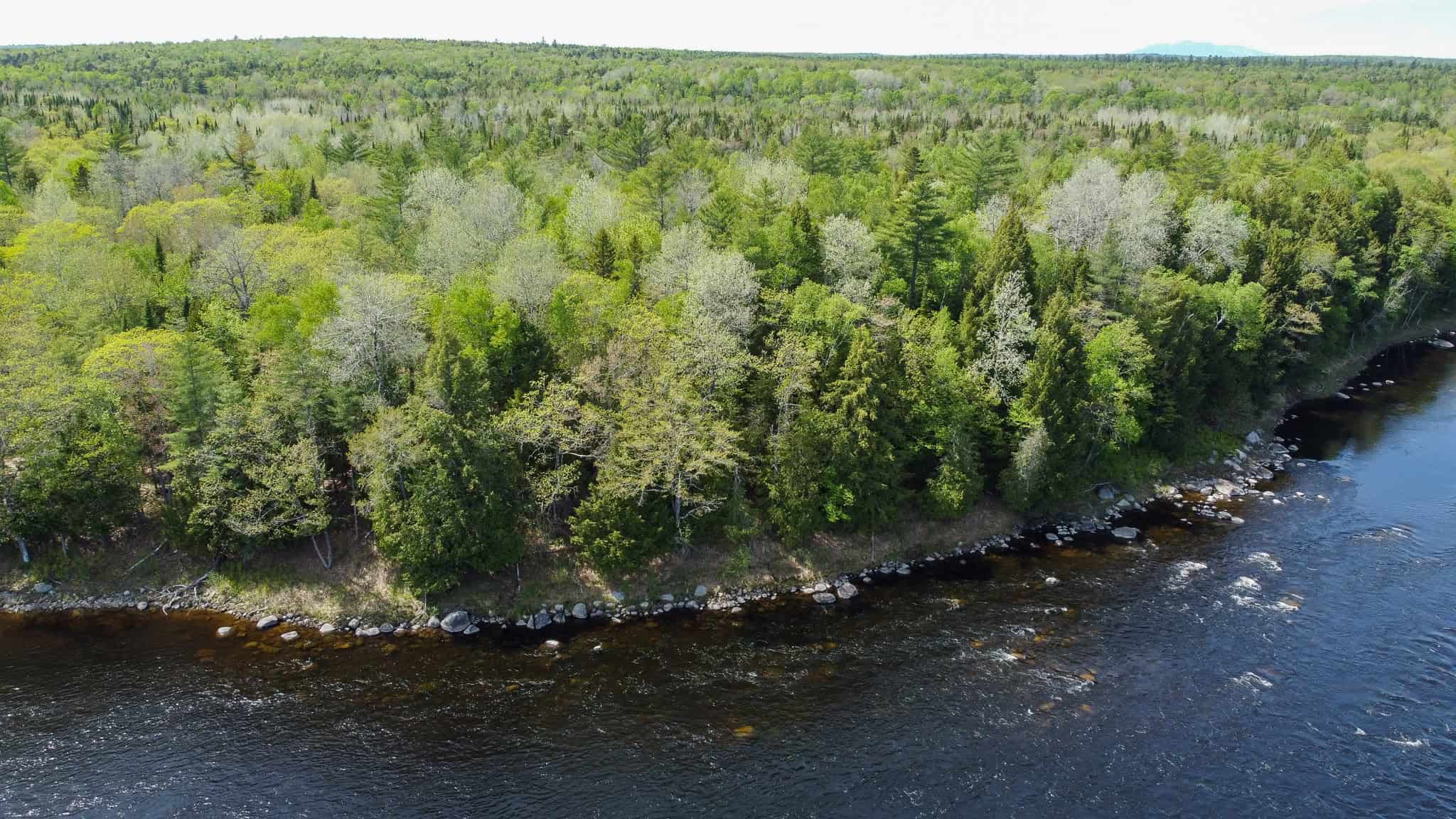 Maine River Property – 40.18 Acres – Woodville