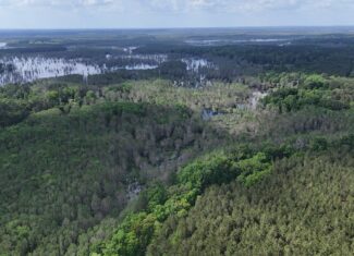 LA Recreation & Timber Property Joining Saline Lake