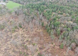 80 Acre Portage County Timber Tract For Sale