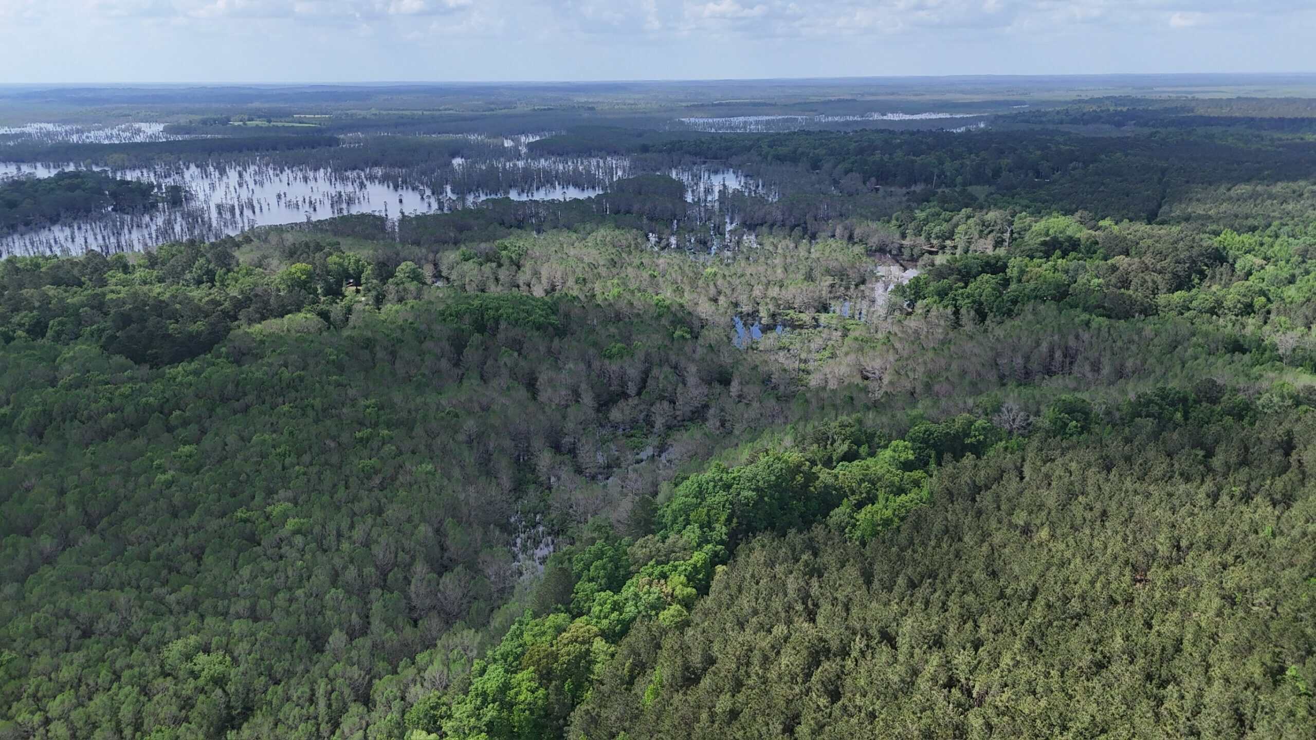LA Recreation & Timber Property Joining Saline Lake