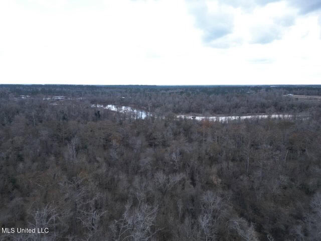 470 Acres on Calcasieu River in Allen Parish, LA