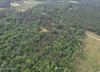 15 Acres with Pond & Homesite in Liberty, MS