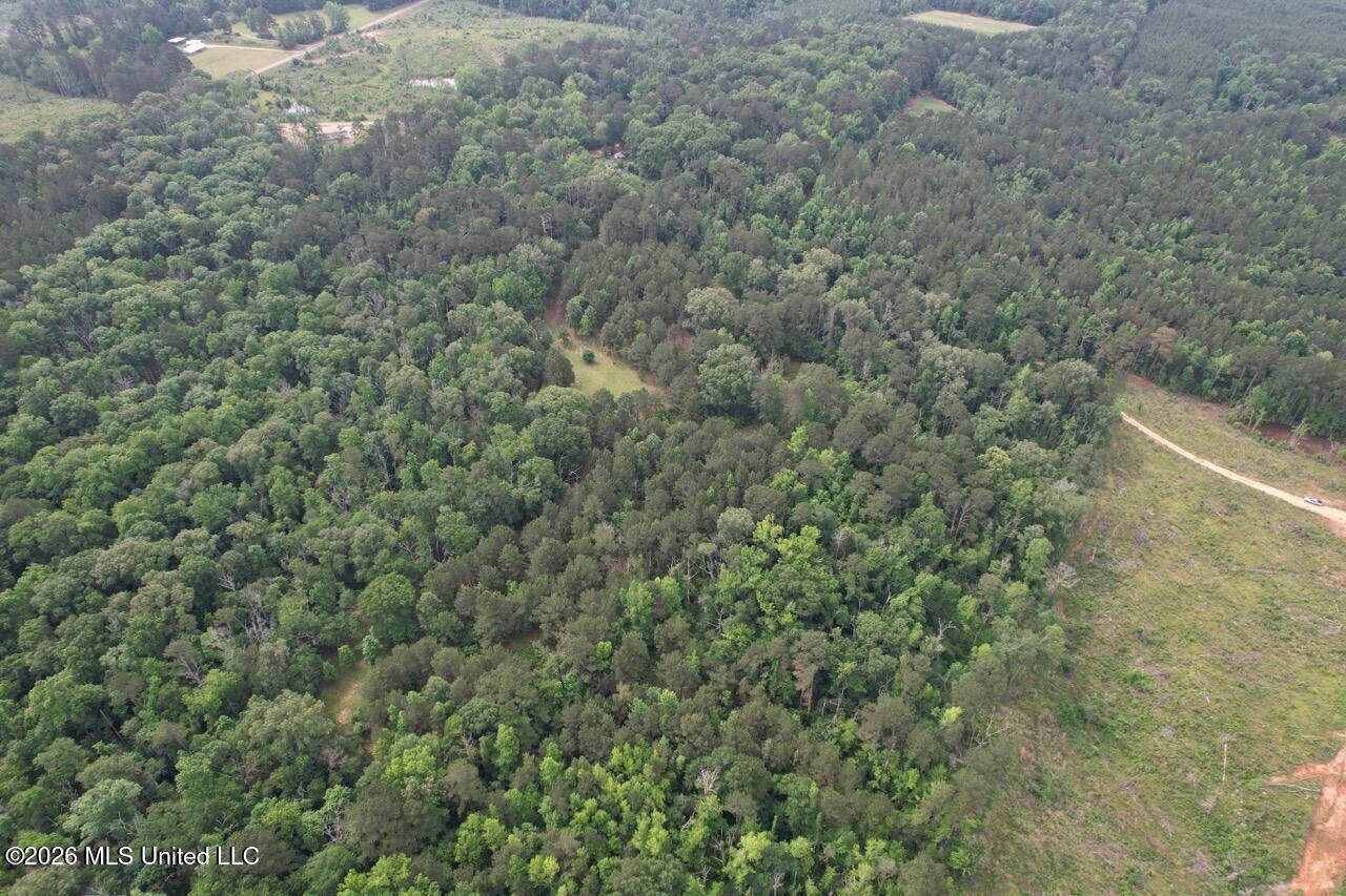 15 Acres with Pond & Homesite in Liberty, MS