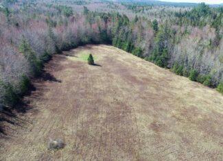 Large Land Parcel with Potential – Ellsworth, Maine