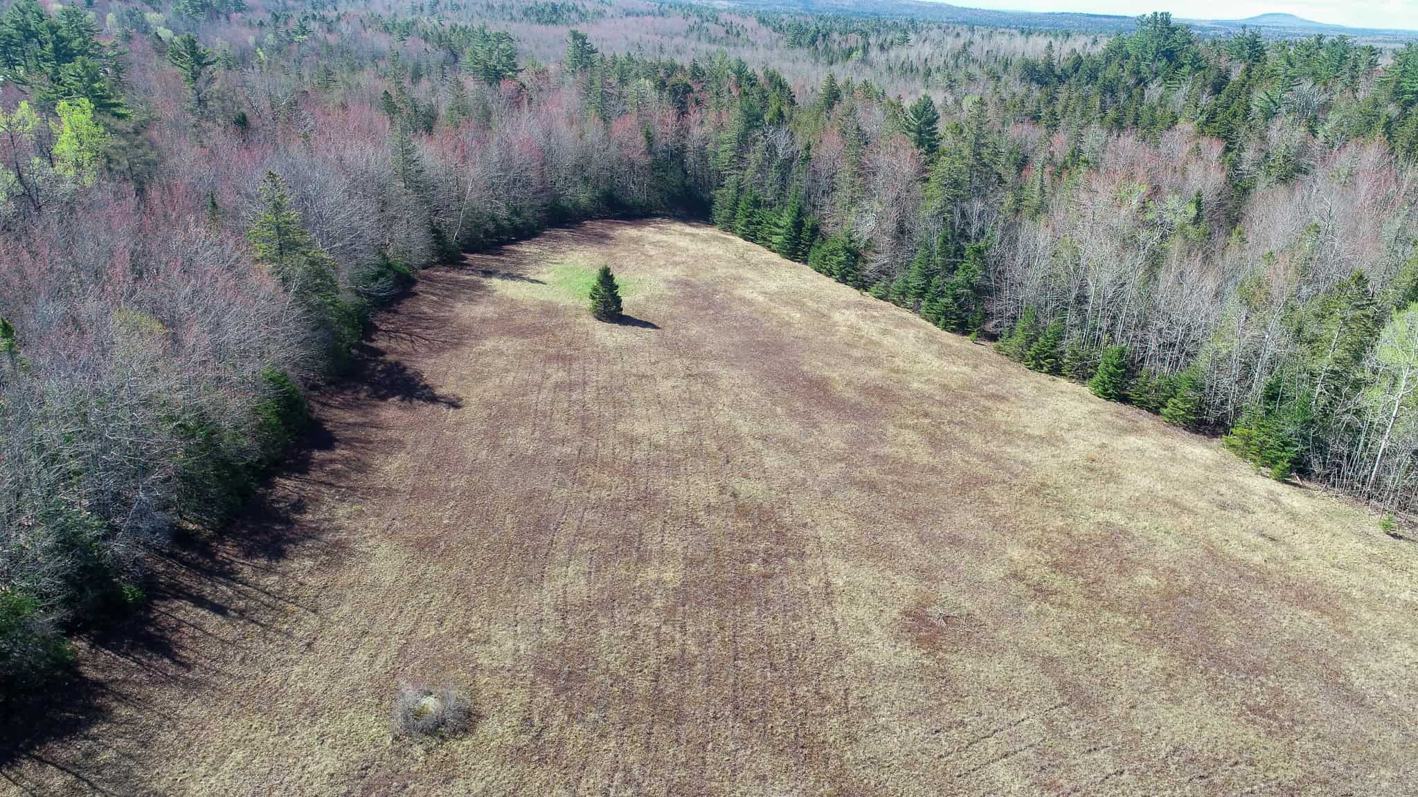 Large Land Parcel with Potential – Ellsworth, Maine