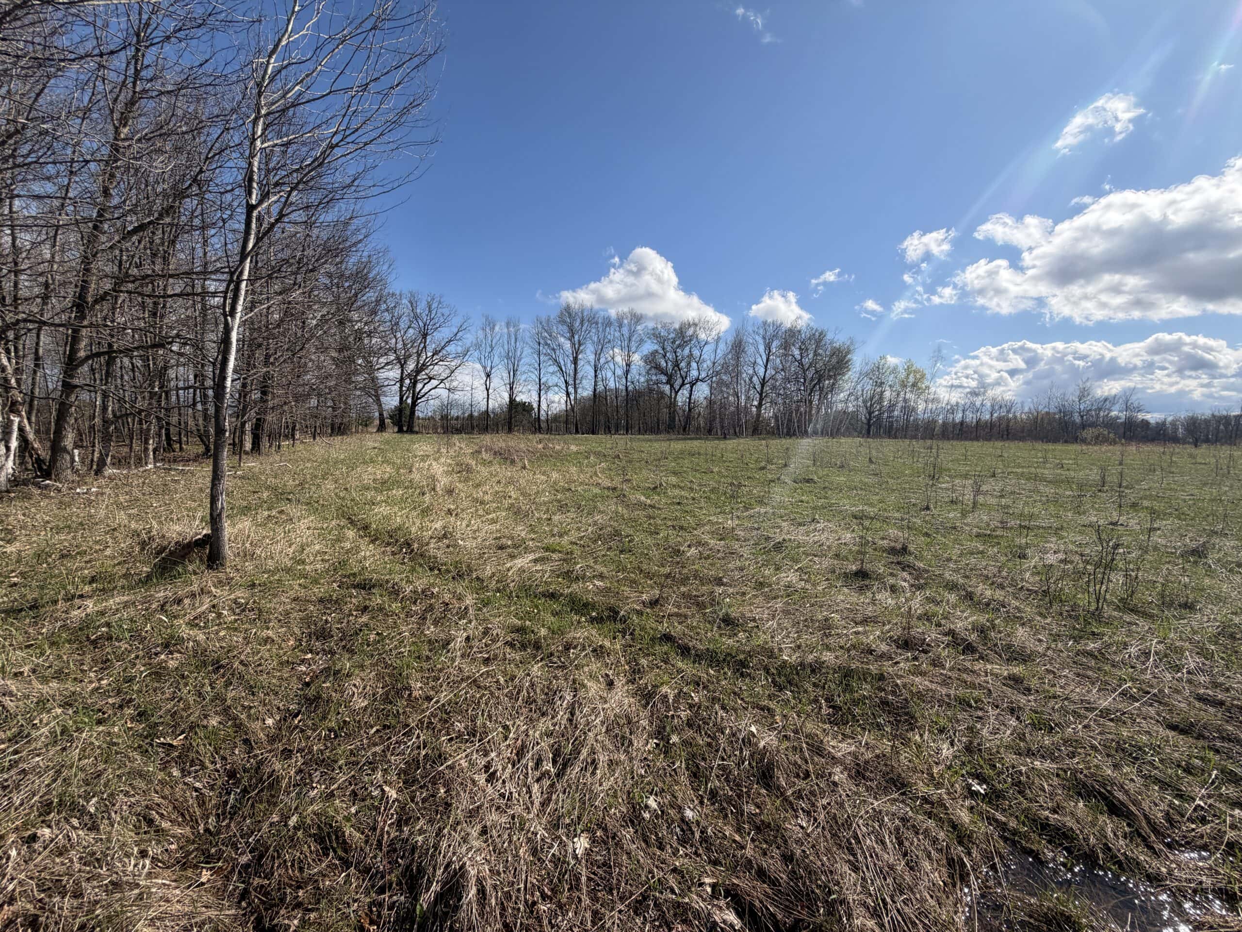 120 acres located in the Town of Dewey, Portage County, WI