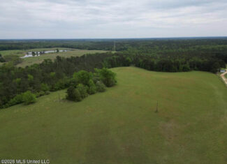 160 Acre in Bienville Parish Near Arcadia, Louisiana