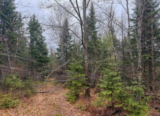 19 Acre Recreational Property – Detroit, Maine
