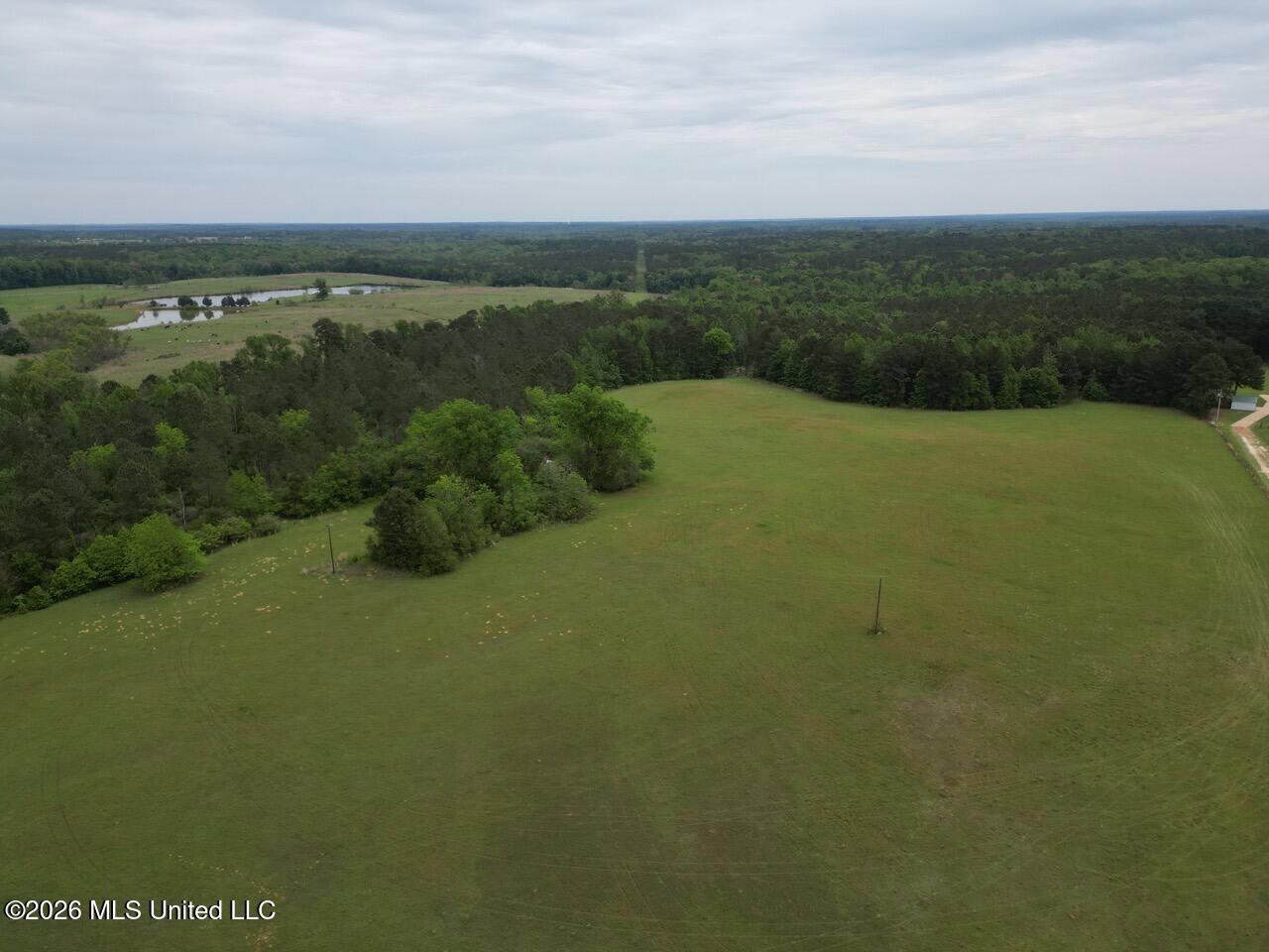 160 Acre in Bienville Parish Near Arcadia, Louisiana