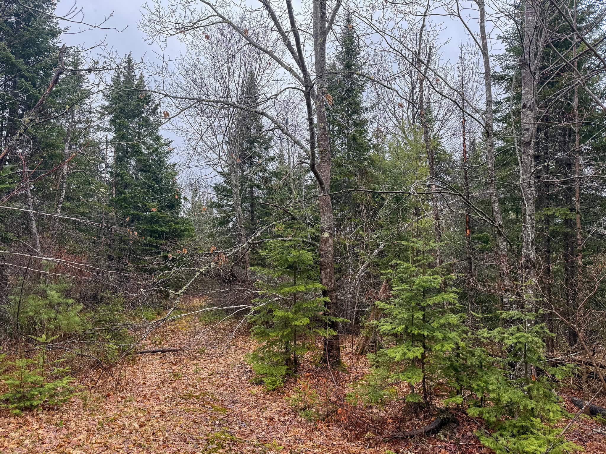 19 Acre Recreational Property – Detroit, Maine