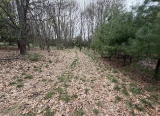 88 Acre Marquette County  WI Hunting Property For Sale