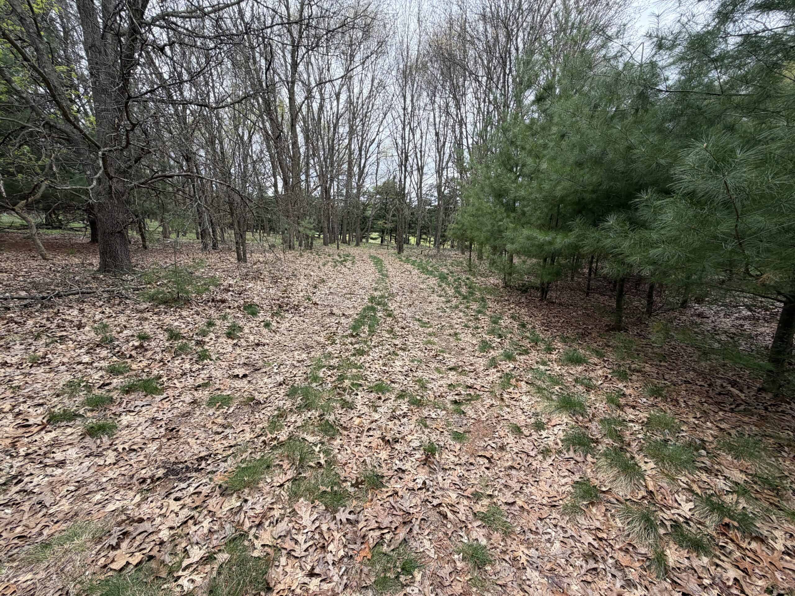 88 Acre Marquette County  WI Hunting Property For Sale