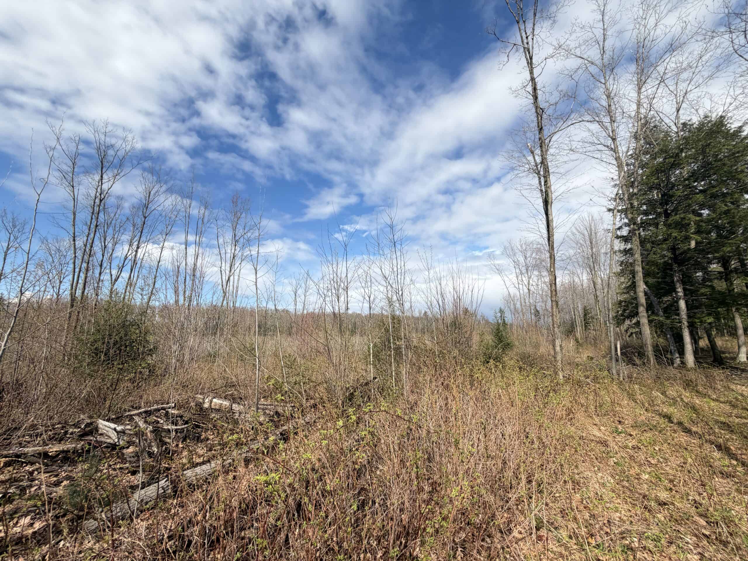 120 acres located in the Town of Dewey, Portage County, WI