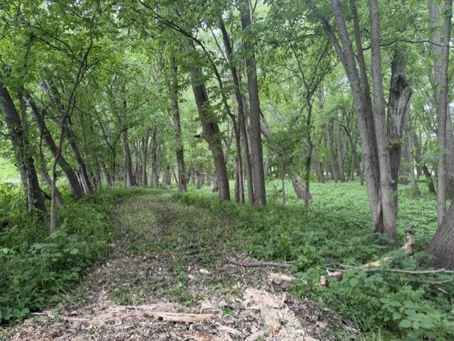 Trophy Whitetail Farm In NW Missouri For Sale – 45 Acres
