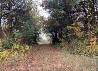 Hunting/Recreational Land For Sale