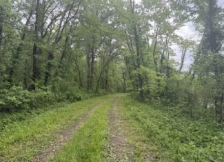 Trophy Whitetail Farm In NW Missouri For Sale – 45 Acres