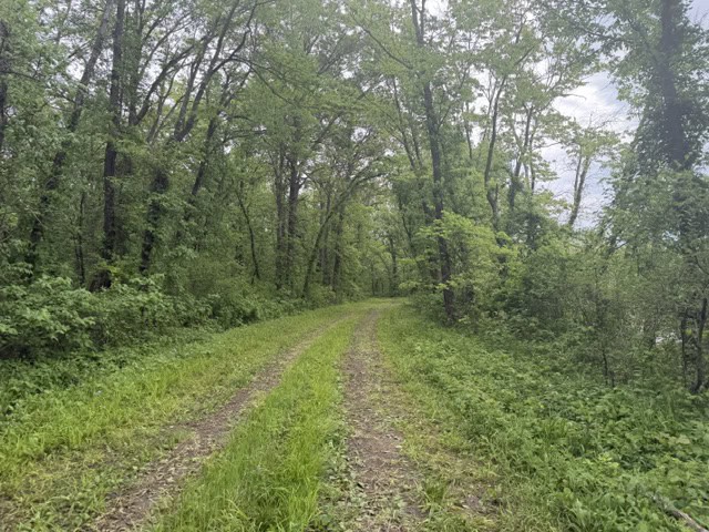 Trophy Whitetail Farm In NW Missouri For Sale – 45 Acres