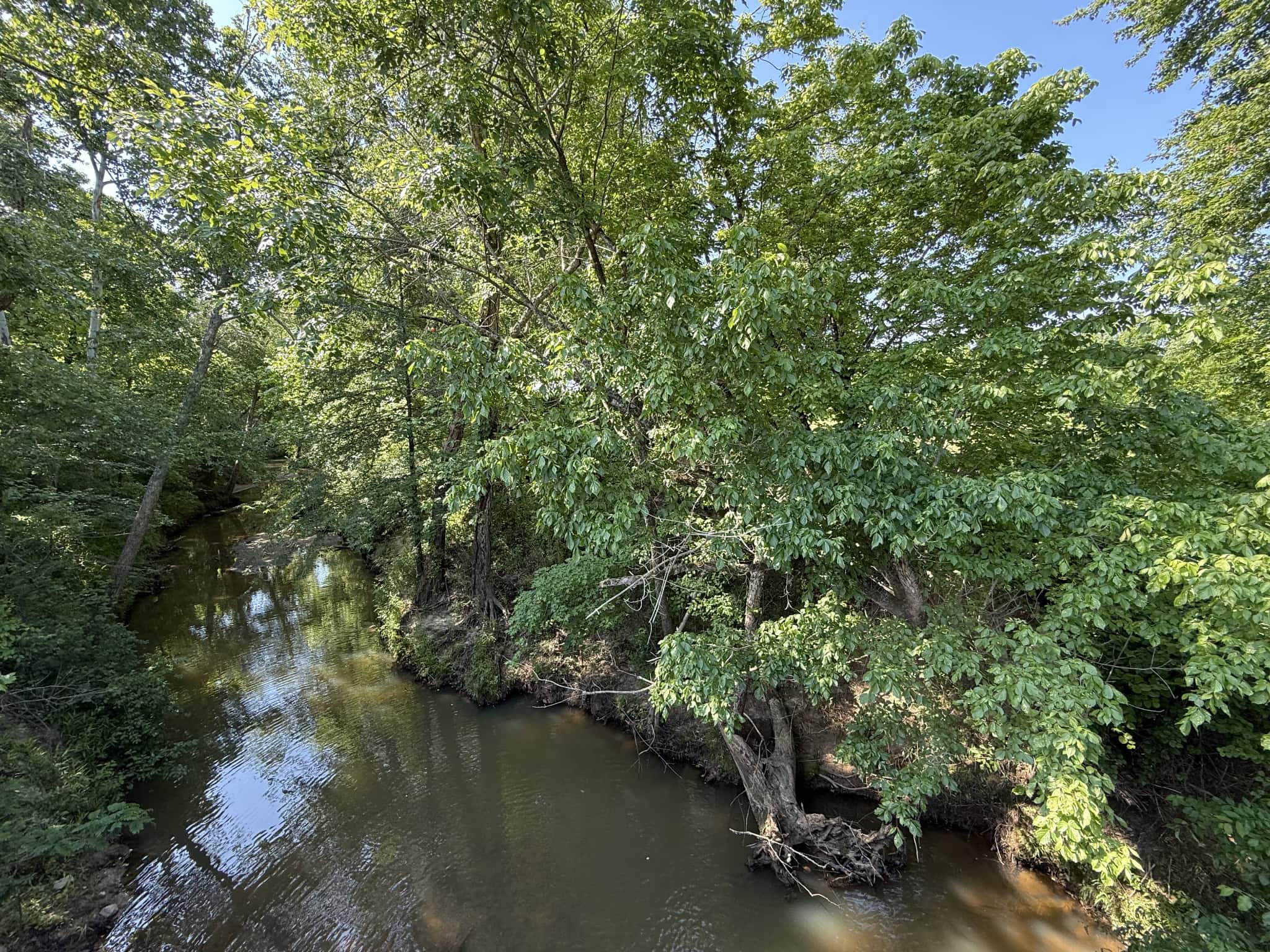 LAND FOR SALE IN TN, HOMESITE, HUNTING, FIELD, TIMBER, CREEK