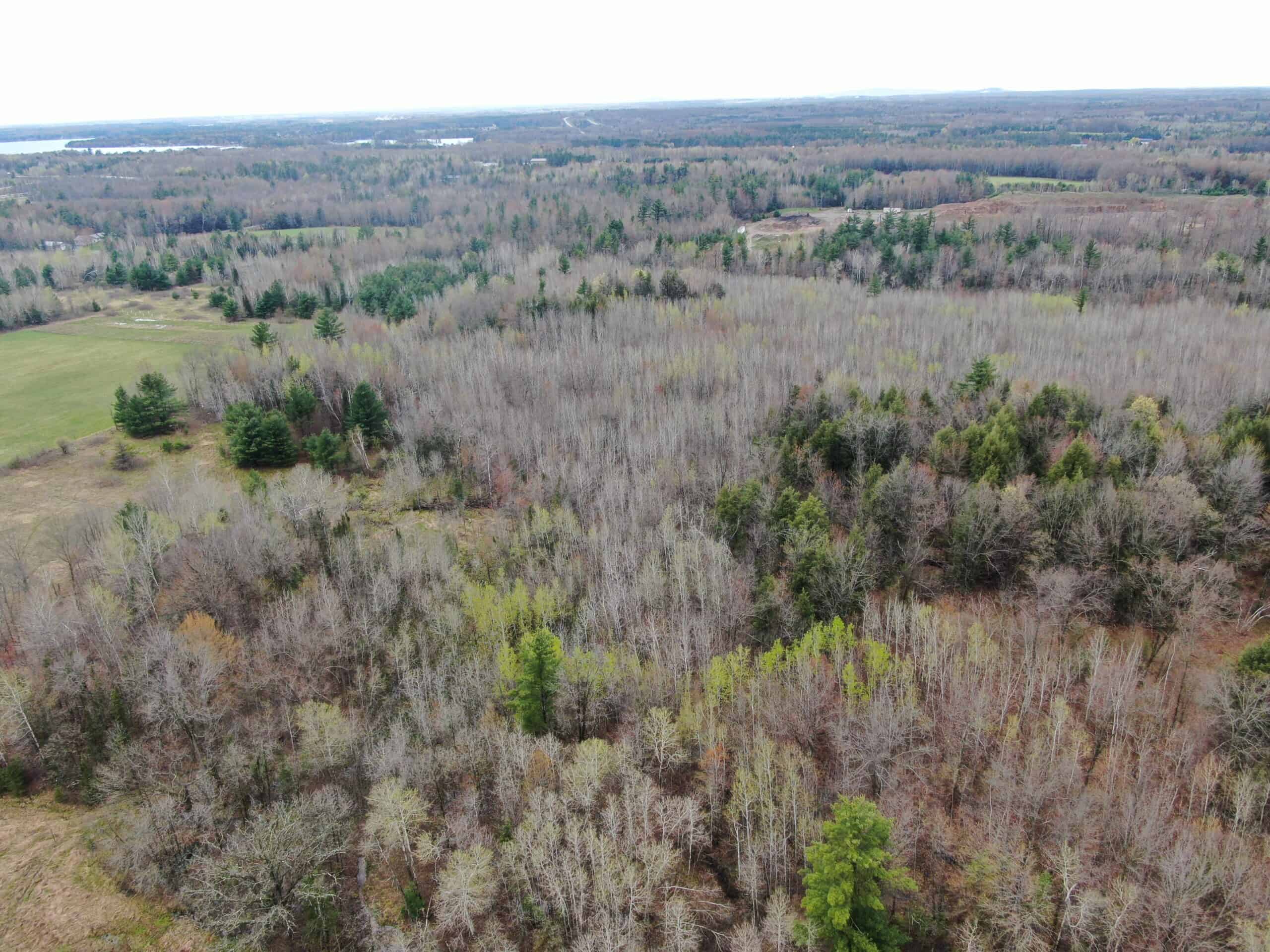 Portage County 40 Acre Hunting and Rec Property for Sale