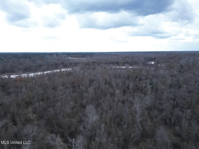 470 Acres on Calcasieu River in Allen Parish, LA