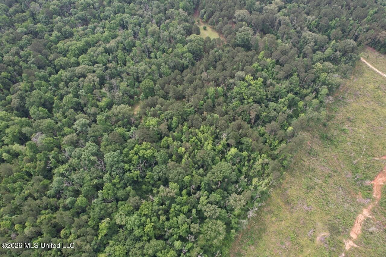 15 Acres with Pond & Homesite in Liberty, MS