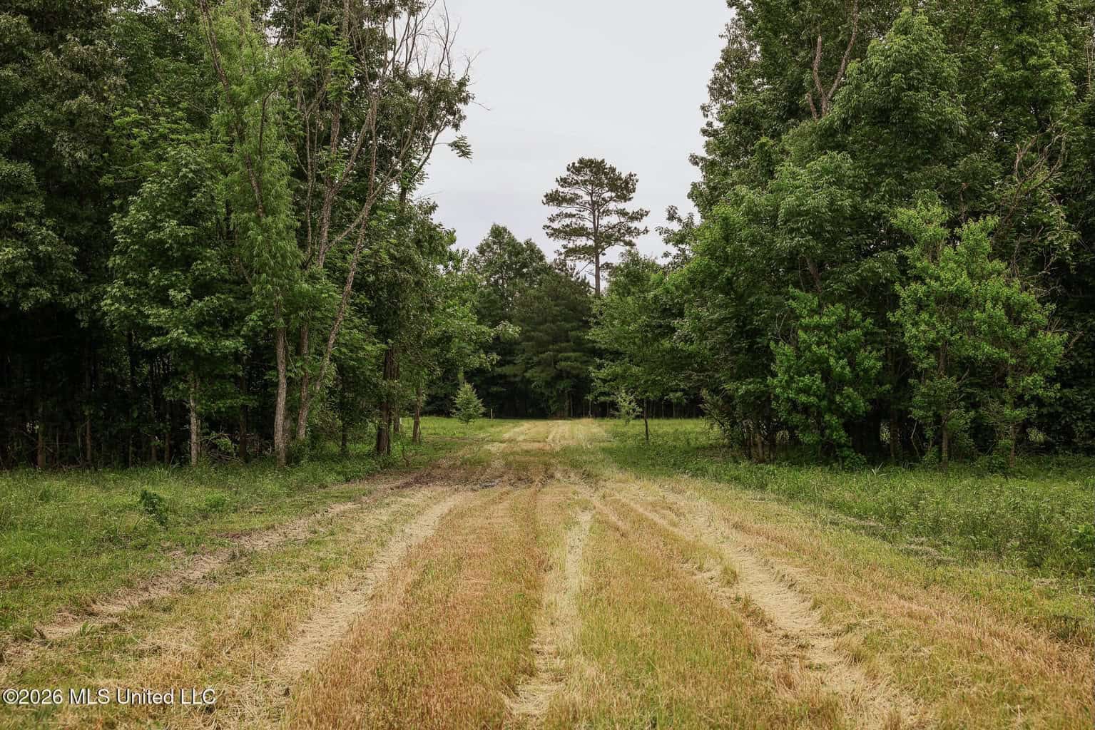 Land for Sale in Amite County, MS