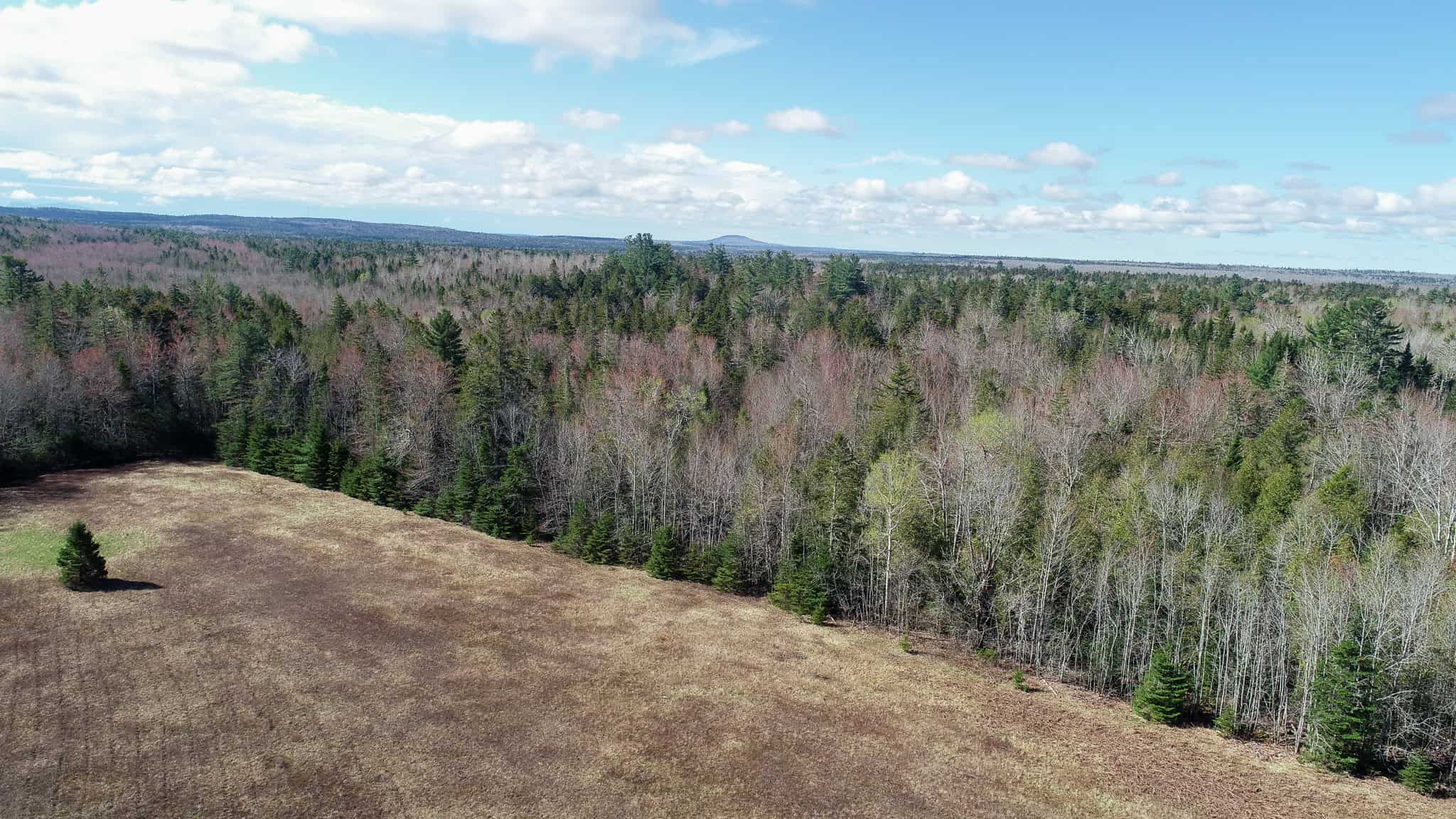 Large Land Parcel with Potential – Ellsworth, Maine