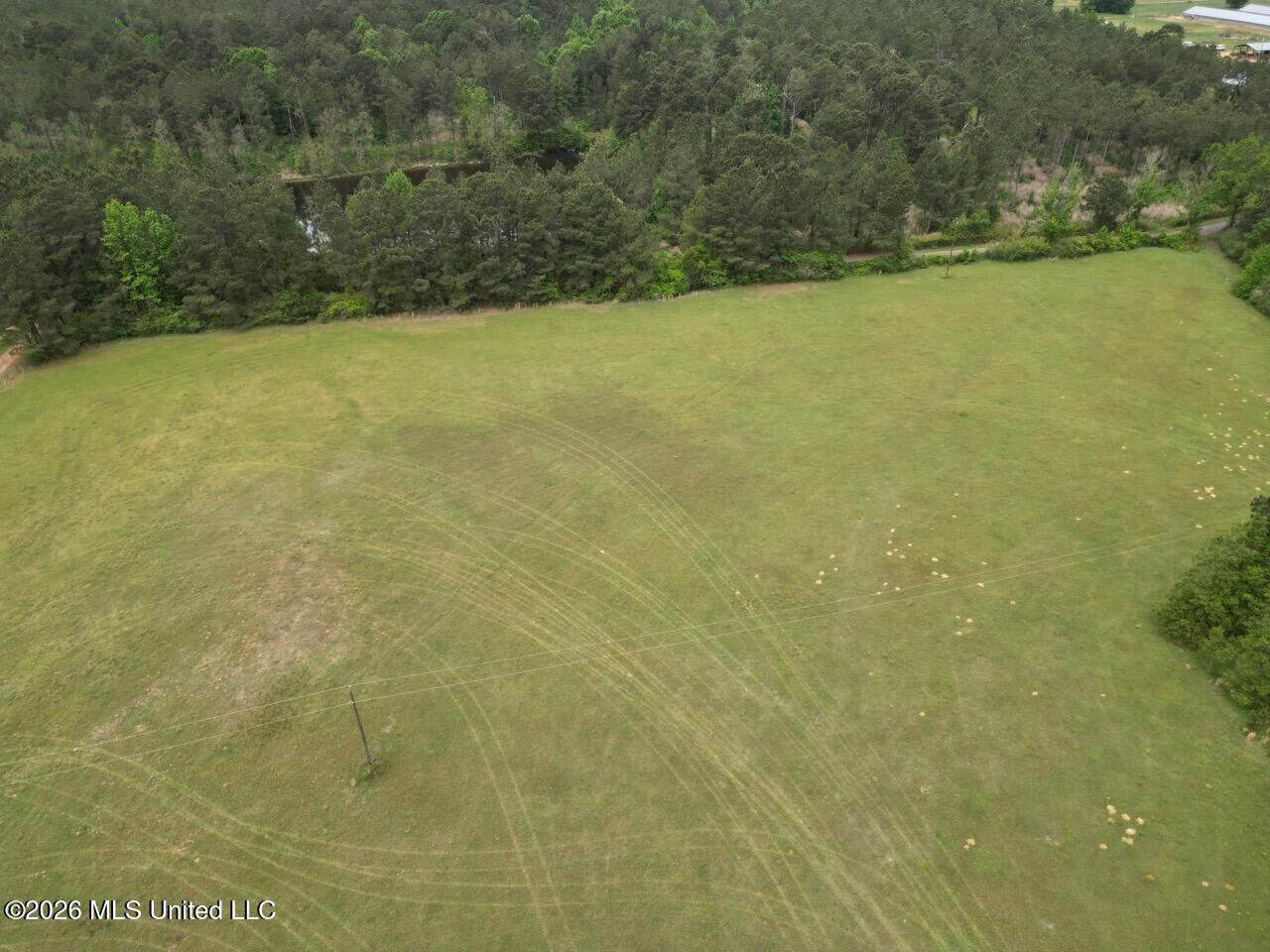 160 Acre in Bienville Parish Near Arcadia, Louisiana