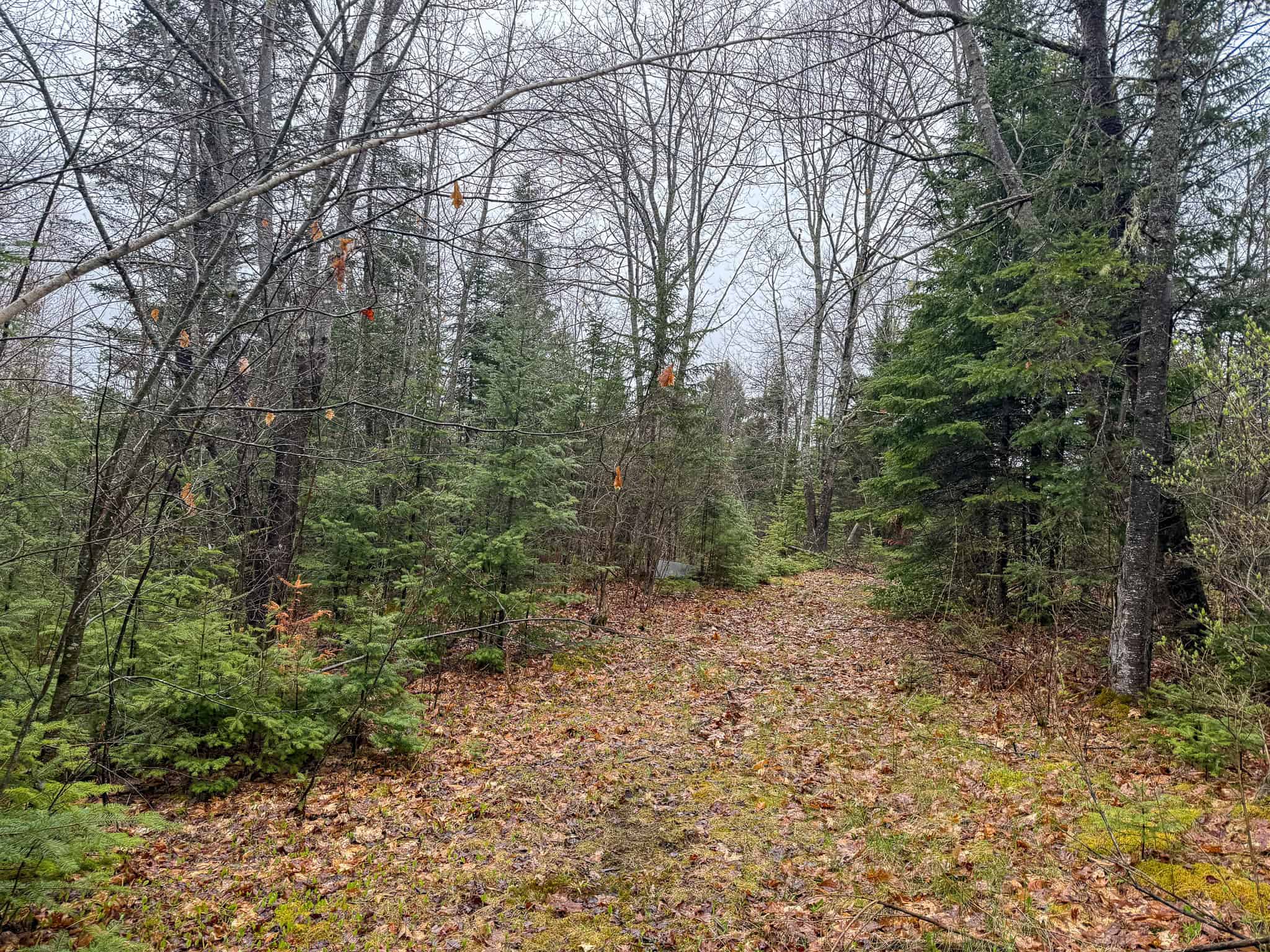 19 Acre Recreational Property – Detroit, Maine