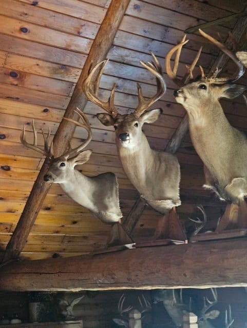 Trophy Whitetail Farm In NW Missouri For Sale – 45 Acres