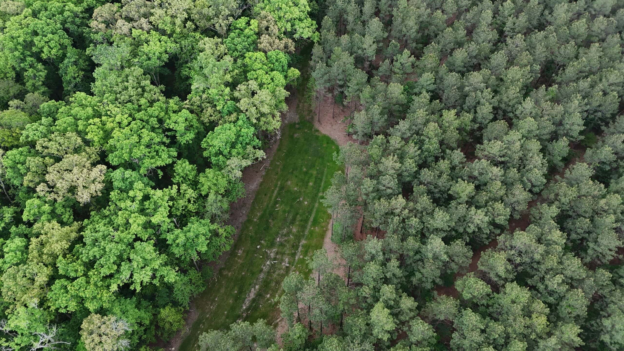 Saline Lake Hunting Property and Lodge Winn Parish LA
