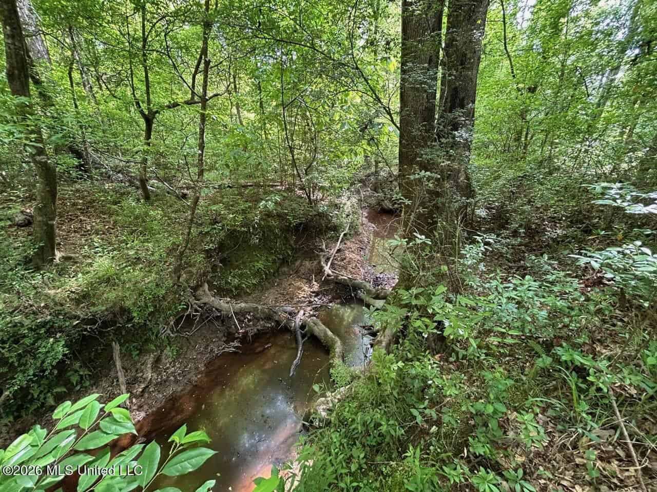 56 Acres in St. Helena Parish with Black Creek