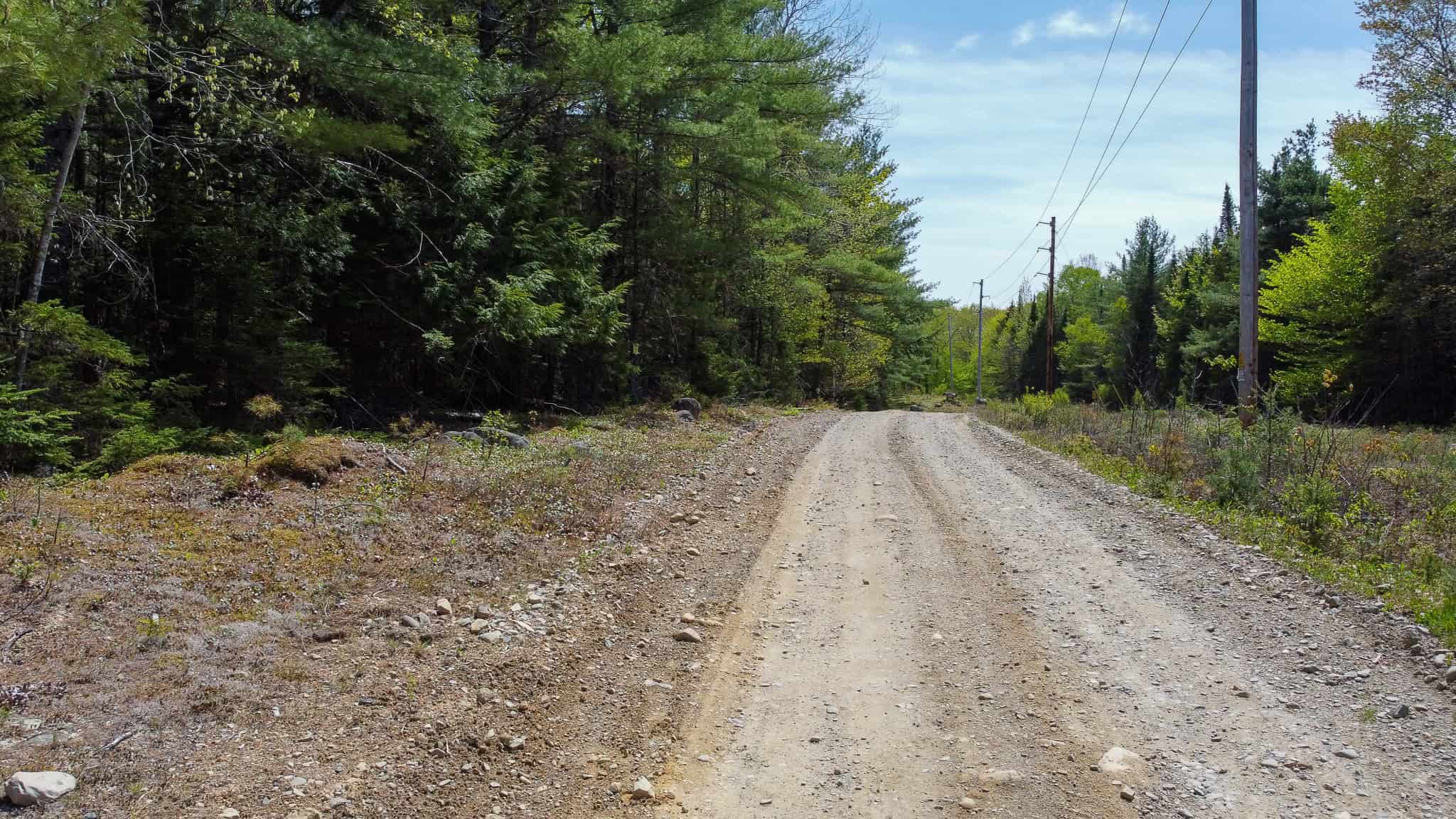 Maine River Property – 40.18 Acres – Woodville