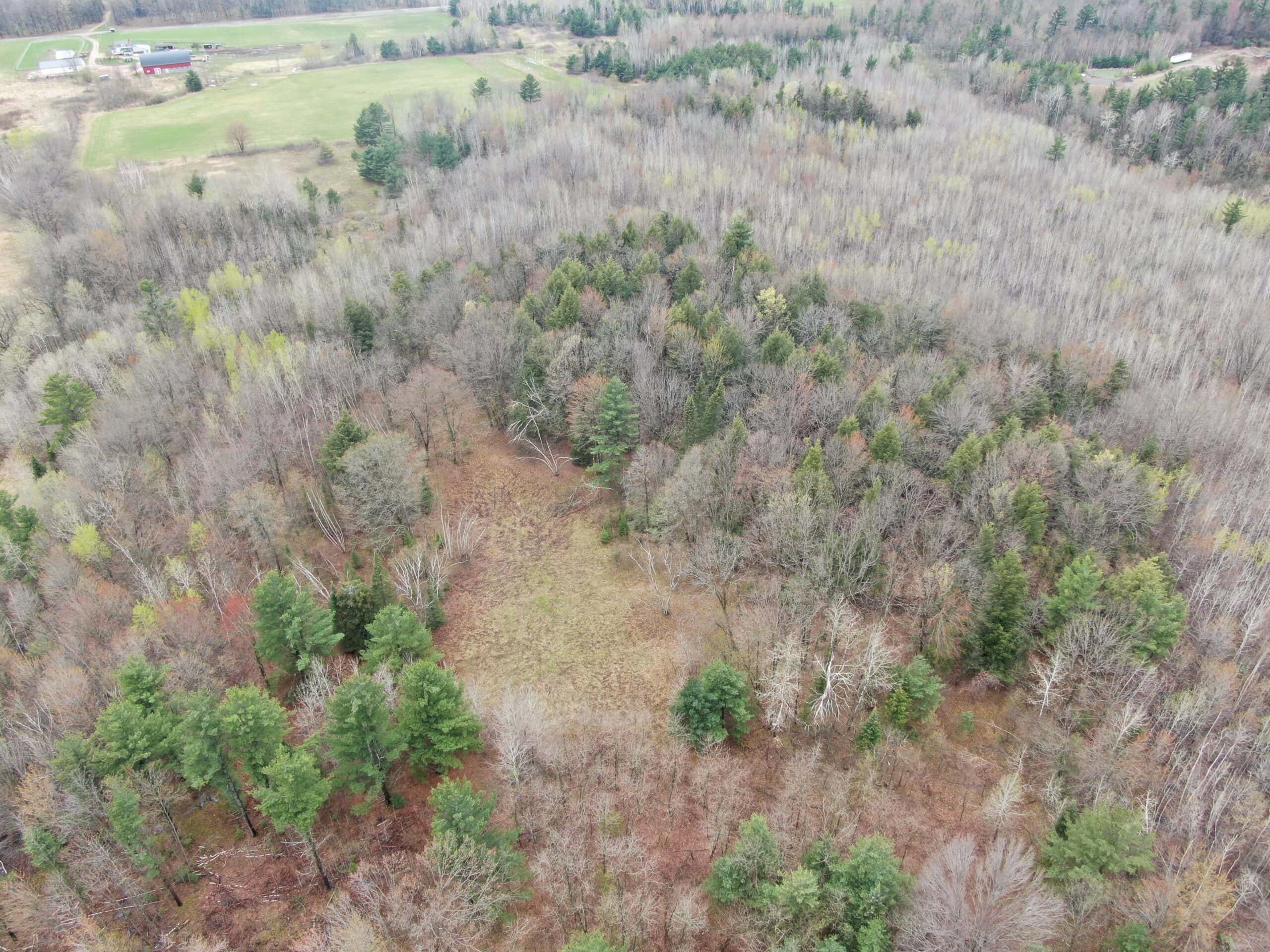 Portage County 40 Acre Hunting and Rec Property for Sale